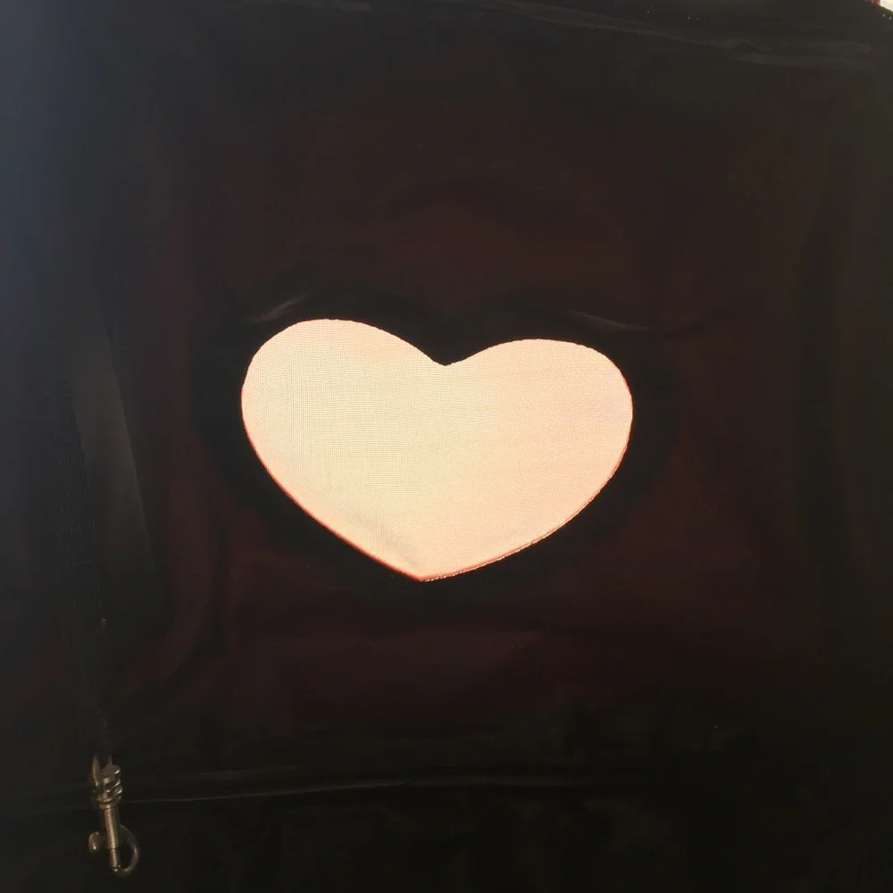 Pet Carry Tote Bag